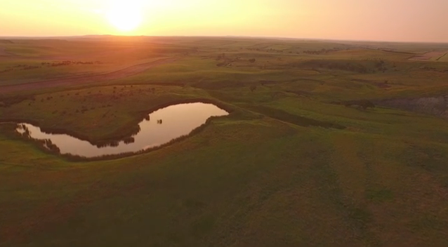 Jorgensen Land and Cattle